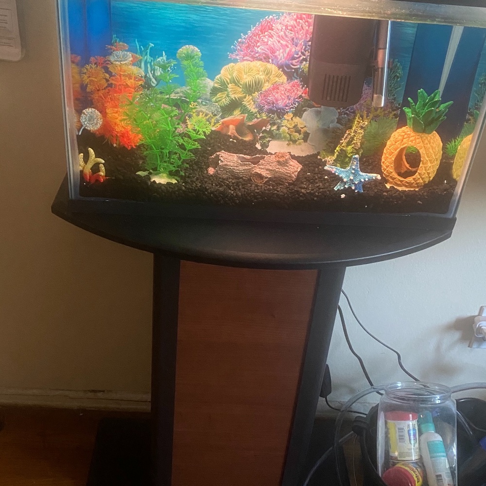 Fish tank and stand